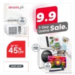 Anson's 9.9 1-Day Online Sale
