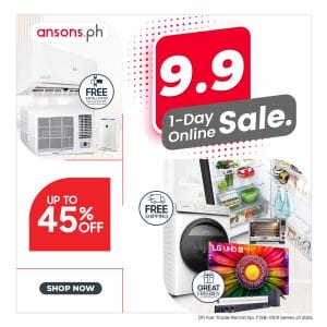 Anson's 9.9 1-Day Online Sale